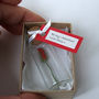 Tiny Single Rose In A Bottle With Personalised Message, thumbnail 7 of 11