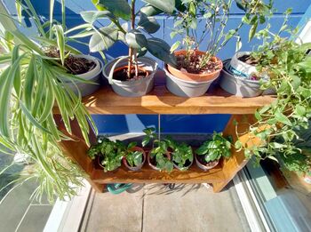 Plant Pot Display Stand, 7 of 8