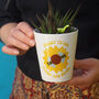 Crochet 'Meant To Bee' Plant Pot, thumbnail 1 of 2