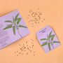 Illustrated Botanical Card With Sage Seeds, thumbnail 1 of 5