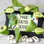 Magic Cactus Bean Grow Set, thumbnail 1 of 10