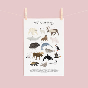 Arctic Animals Print, 2 of 3