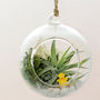 Hanging Glass Bauble With An Animal Figurine, thumbnail 1 of 2
