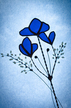Sweetpea Everlasting Stained Glass Flowers, 10 of 12