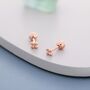 Extra Tiny Four Ball Cluster Screw Back Earrings, thumbnail 7 of 12
