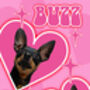 Custom Pet Dog Cat Portrait Groovy Print, thumbnail 4 of 5