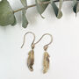 9ct Gold Feather Earrings, thumbnail 2 of 9