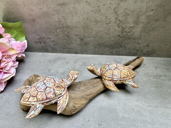 Double Painted Turtle Figurine Ornament – Root Sculpture, 4 of 12
