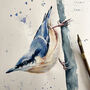 Inky Nuthatch Notebook, thumbnail 7 of 7