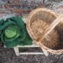The Country Basket, thumbnail 4 of 7