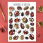 Ladybirds Of Britain Illustrated Postcard, thumbnail 1 of 12