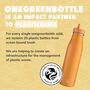 500ml Toffee Evolution Stainless Steel Bottle Insulated, thumbnail 10 of 11