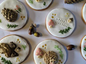 Personalised Hand Iced Woodland Creatures Biscuit Box, 3 of 12