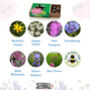 Wildflower Seeds For British Bees Collection Of Six Mixes, thumbnail 10 of 12