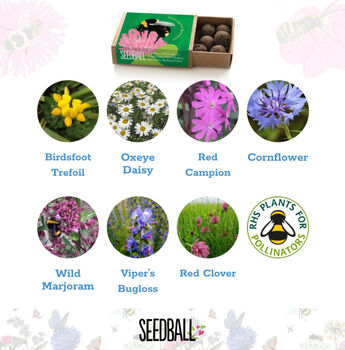 Wildflower Seeds For British Bees Collection Of Six Mixes, 10 of 12