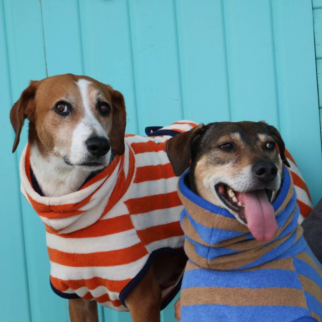 Striped Beach Drying Dog Coat By Harbour Hounds