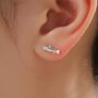 Sterling Silver Trout 16 G Flat Back Labret Earrings, thumbnail 8 of 12