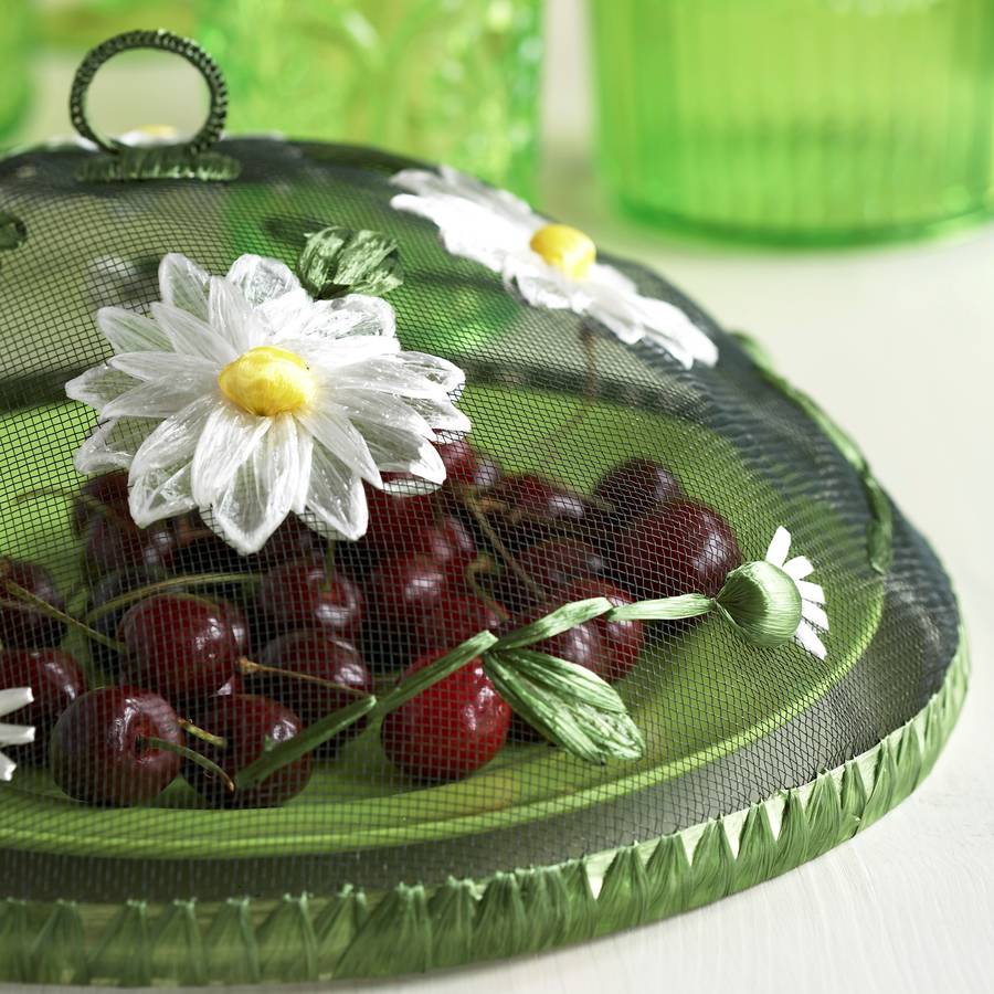 daisy food cover by the contemporary home