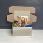 Kid's Ladybird Gardening Set, thumbnail 6 of 6