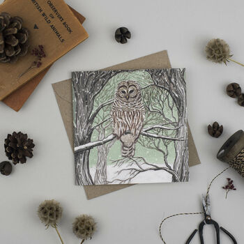 'Barred Owl' Christmas Card, 2 of 2