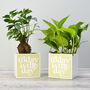 'Today Is The Day' Positivity Plant Pot And Houseplant, thumbnail 2 of 7