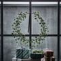 Christmas Wreath Spruce, thumbnail 1 of 3