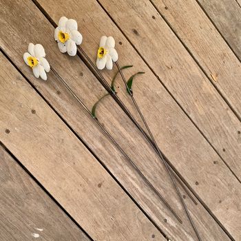 Daffodil Garden Sculptures Art063, 4 of 4