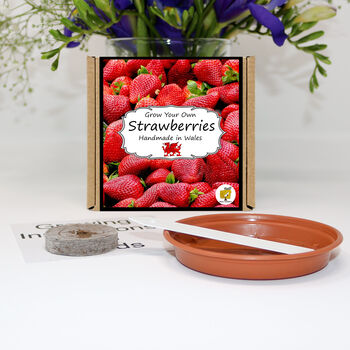 Gardening Gift. Strawberries Growing Kit, 2 of 4