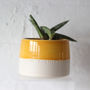 'What A Beautiful Day' Hand Thrown Indoor Plant Pot, thumbnail 3 of 9