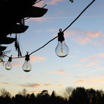 Garden Party String Bulb Lights, 4 of 4