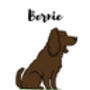 Cocker Spaniel Personalised Name And Personality Print, thumbnail 4 of 4