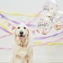 Happy Birthday Pet Party Kit For Dogs And Cats, thumbnail 1 of 2