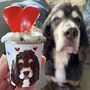 Personalised Heart Pup Cup Birthday Gift For Dog, thumbnail 4 of 12