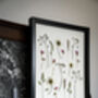 A3 Pressed Flower Art Botanical Wall Art In Black Frame, thumbnail 5 of 7