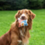 Its The Dogs Peanut Butter Balls, thumbnail 3 of 5