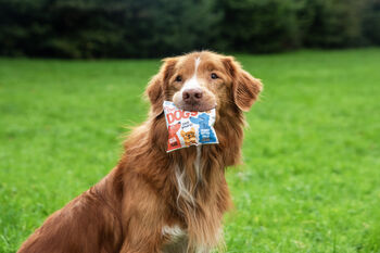 Its The Dogs Peanut Butter Balls, 3 of 5