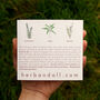 Winter Herbs Seed Kit With Sage, Rosemary And Thyme, thumbnail 8 of 9