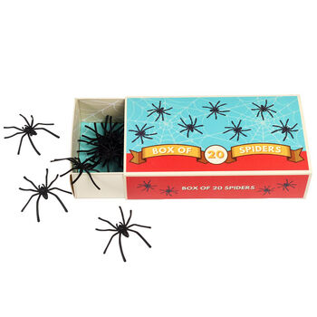 Box Of 20 Spiders, 3 of 3