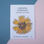 Pick Your Own Flower Seeds Pack, thumbnail 10 of 10