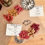 Meditation Mindful Incense Cones Night And Day Mix Blends, thumbnail 1 of 9