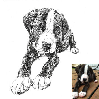 Personalised Pen And Ink Pet Portrait, 9 of 10