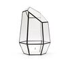 Geometric Glass Container For Terrarium H: 28 Cm, thumbnail 5 of 5
