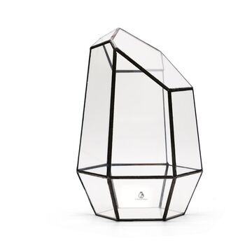 Geometric Glass Container For Terrarium H: 28 Cm, 5 of 5