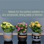 Three Set Of Small Ceramic Indoor Plant Pots, thumbnail 2 of 7