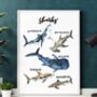Sharks Watercolour And Calligraphy Print, thumbnail 1 of 4