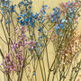 Rainbow Candyfloss Dried Gypsophila Bouquet, thumbnail 3 of 9