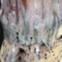 Ceramic Vinegar Or Oil Bottle, thumbnail 5 of 5