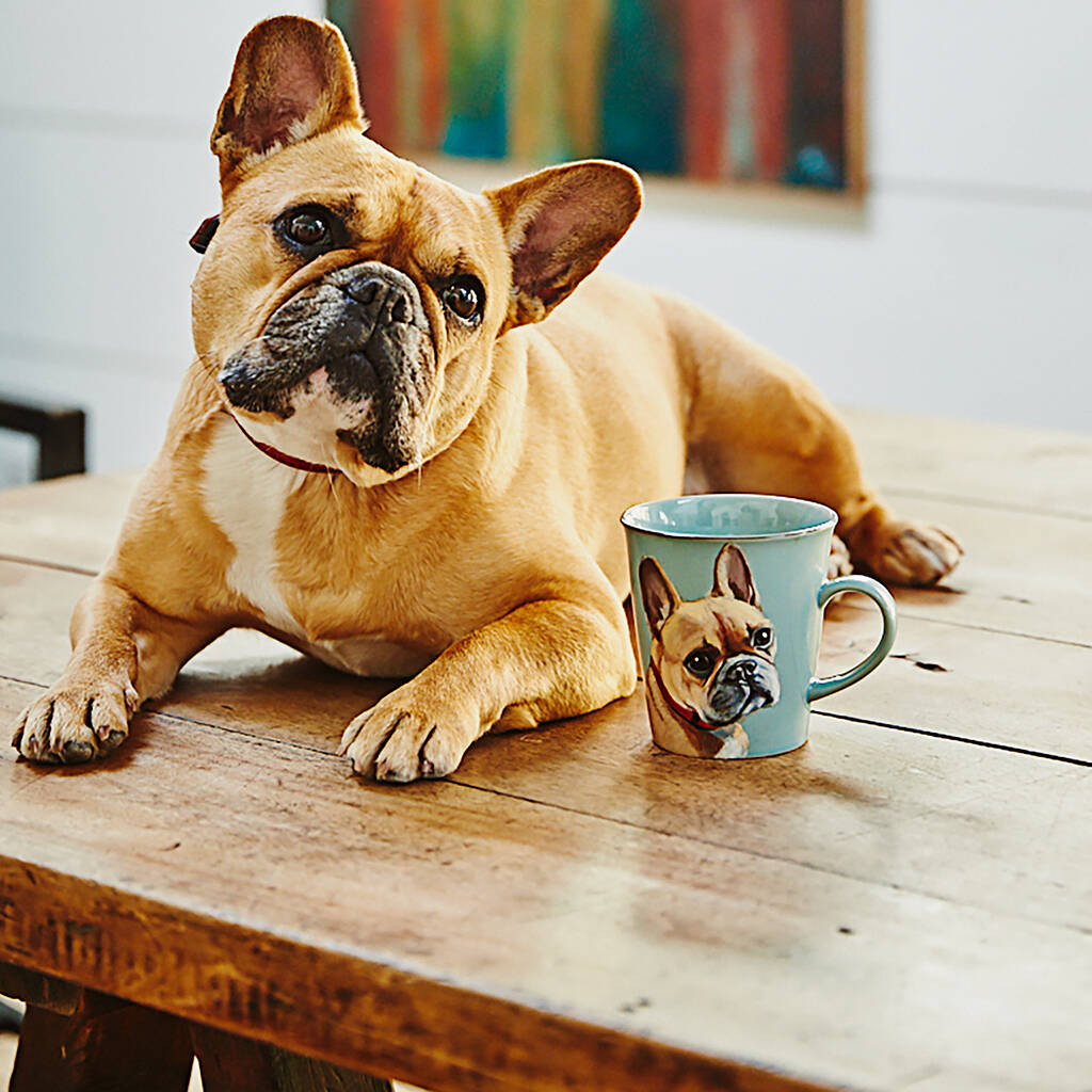 luxury personalised hand painted dog portrait mug by china dawgs