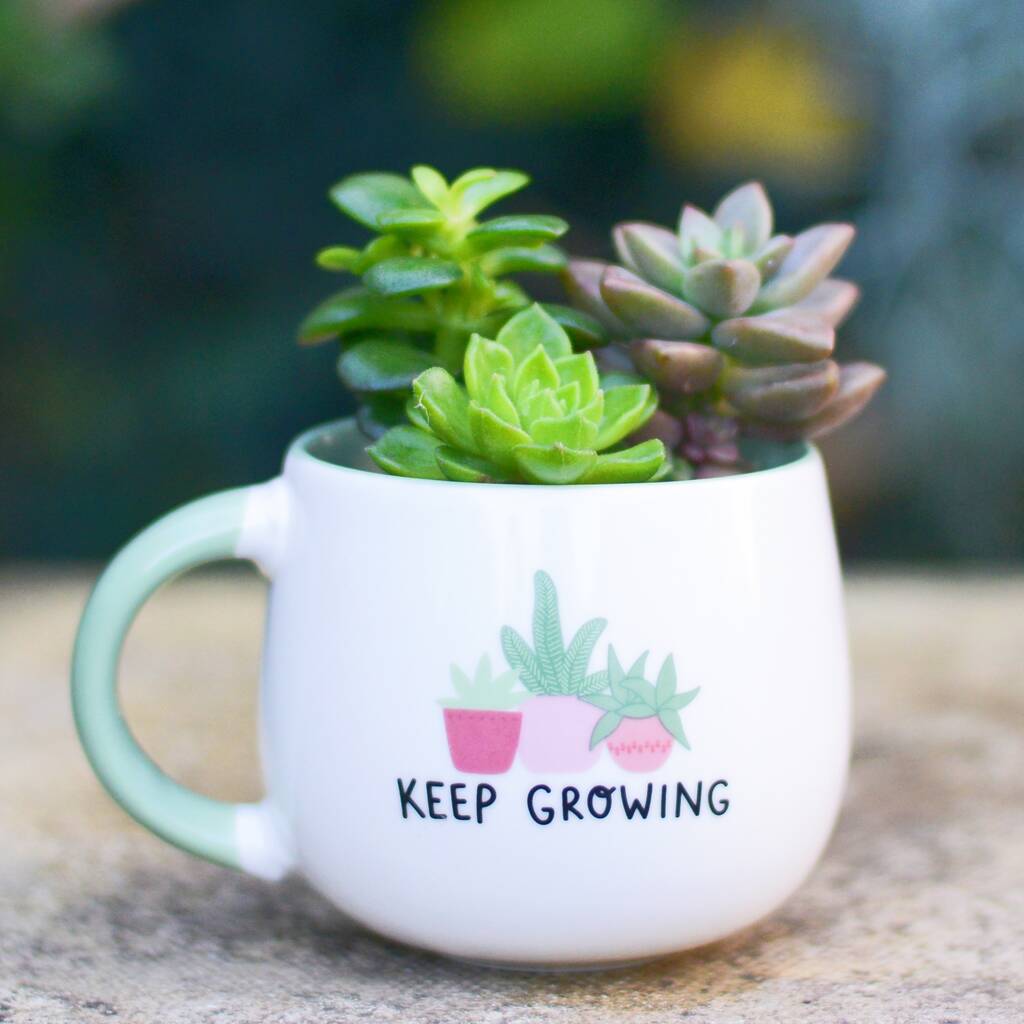 Keep Growing Mug Planter With Choices Of Plants By DingaDing