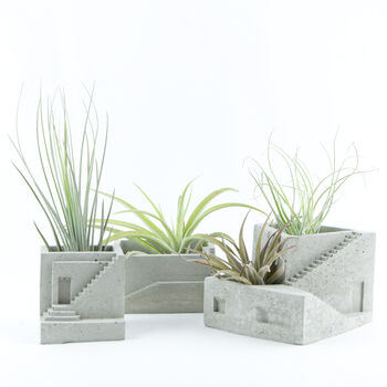Concrete House Air Plant Holder Collection Set, 3 of 9
